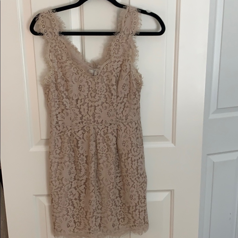 Joie lace mauve dress